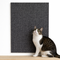 Cat Scratcher