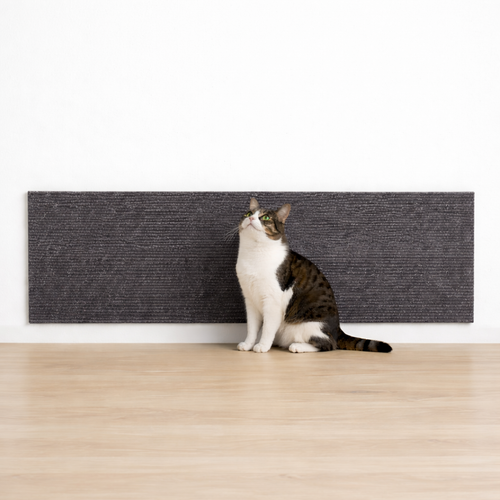 Cat Scratcher